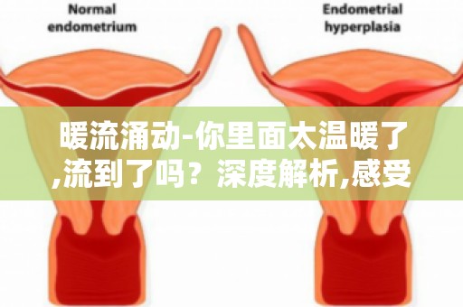 暖流涌动-你里面太温暖了,流到了吗？深度解析,感受温暖的力量