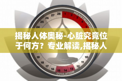 揭秘人体奥秘-心脏究竟位于何方？专业解读,揭秘人体心脏的神秘之地