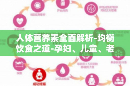 人体营养素全面解析-均衡饮食之道-孕妇、儿童、老年人饮食注意事项