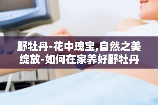 野牡丹-花中瑰宝,自然之美绽放-如何在家养好野牡丹,打造私人花园