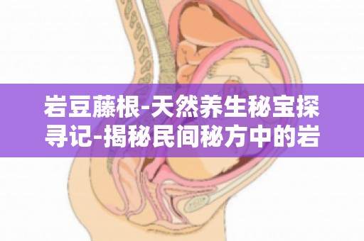 岩豆藤根-天然养生秘宝探寻记-揭秘民间秘方中的岩豆藤根