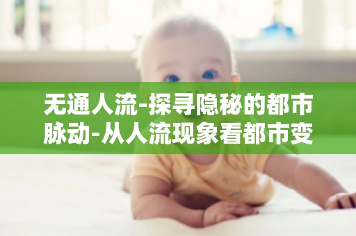 无通人流-探寻隐秘的都市脉动-从人流现象看都市变迁,解读城市生活