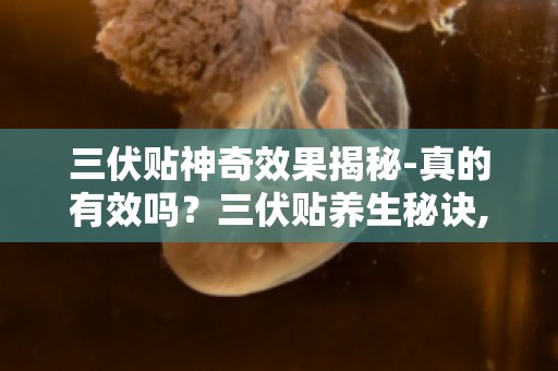 三伏贴神奇效果揭秘-真的有效吗？三伏贴养生秘诀,你真的知道吗？