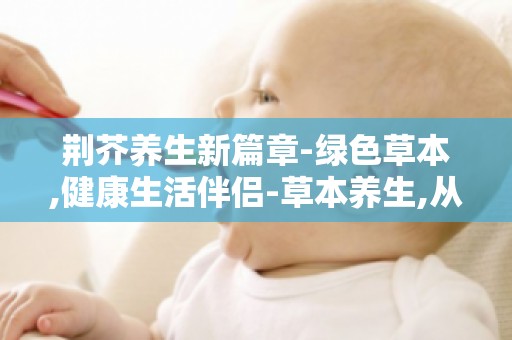 荆芥养生新篇章-绿色草本,健康生活伴侣-草本养生,从了解荆芥开始