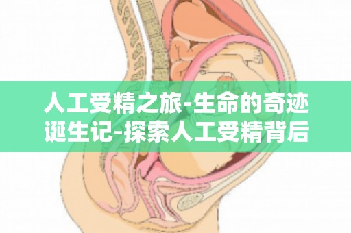 人工受精之旅-生命的奇迹诞生记-探索人工受精背后的与法律问题