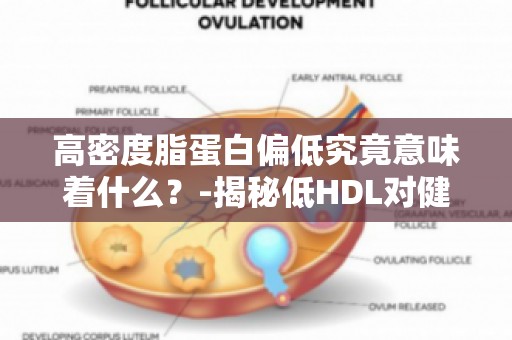 高密度脂蛋白偏低究竟意味着什么？-揭秘低HDL对健康的潜在影响