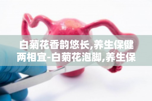 白菊花香韵悠长,养生保健两相宜-白菊花泡脚,养生保健的简单方法