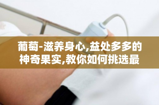 葡萄-滋养身心,益处多多的神奇果实,教你如何挑选最佳食用方法