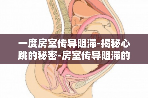 一度房室传导阻滞-揭秘心跳的秘密-房室传导阻滞的症状与治疗策略