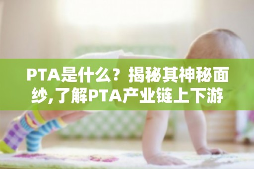 PTA是什么？揭秘其神秘面纱,了解PTA产业链上下游的关联与影响