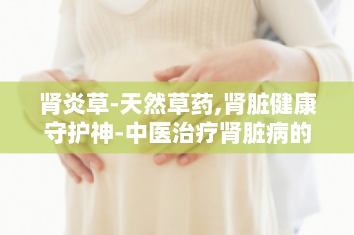 肾炎草-天然草药,肾脏健康守护神-中医治疗肾脏病的神奇草药