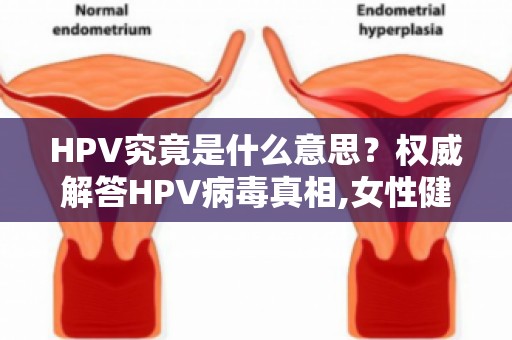 HPV究竟是什么意思？权威解答HPV病毒真相,女性健康不容忽视