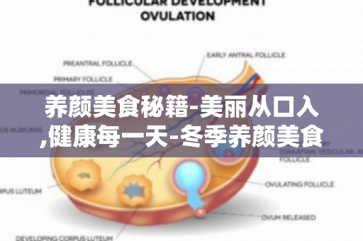 养颜美食秘籍-美丽从口入,健康每一天-冬季养颜美食,温暖身心