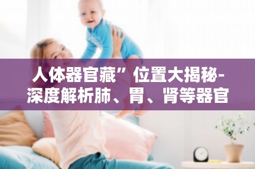 人体器官藏”位置大揭秘-深度解析肺、胃、肾等器官的神秘藏身之处